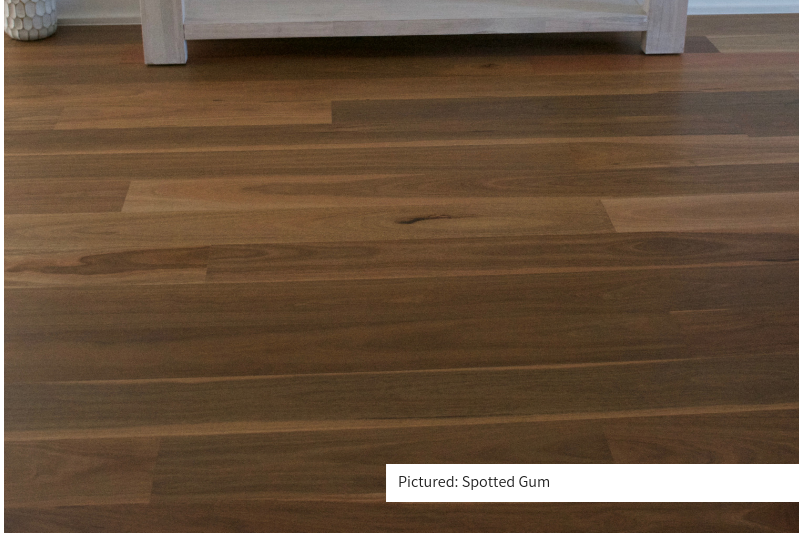Hurford Flooring Australian Native Spotted Gum 1820mm x 132mm x 13.5mm